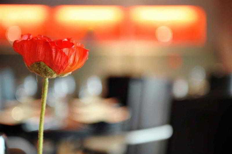 Mercure Hotel Brussels Airport Diegem Dış mekan fotoğraf